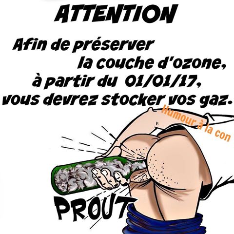 Afin de préserver la couche d'ozone il faudra stocker ses gaz