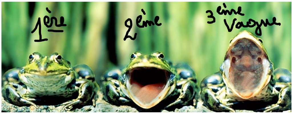 Blague   1 ère 2 ème 3 ème vague   grenouille qui ouvre la bouche