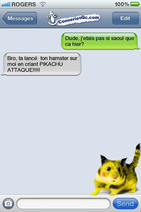 Blague   2 persone discute   j'était pas saoul hier   si ta lancé ton hamster sur moi en disant pikachu attaque 