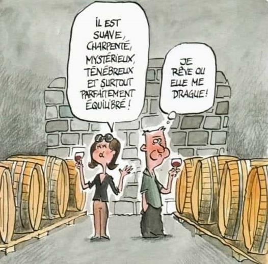 Blague   2 personnes goutent du vin et la femme dit il est charpenté mystérieux ténébreux et parfaitement équilibré et l'homme pense elle me drague ou quoi