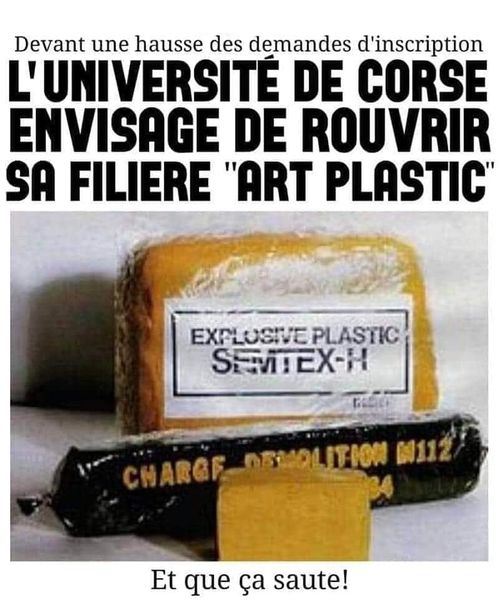 Blague   Arme   l'université de corse envisage de rouvrir sa filière Art Plastic