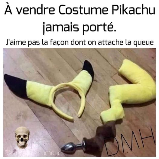 Blague   a vendre costume pikachu je n'aime pas la façon d'attacher la queue