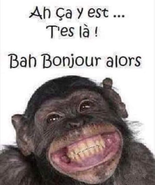 Blague   ah ça y'est t'es la ba bonjour alors