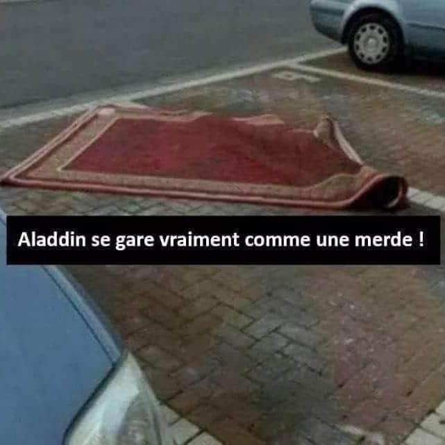 Blague   aladdn se gare vraiment comme un emerde   tapis sur une place de parking