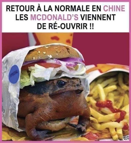 Blague   alimentaire le big mac en chin e vien de reouvrir