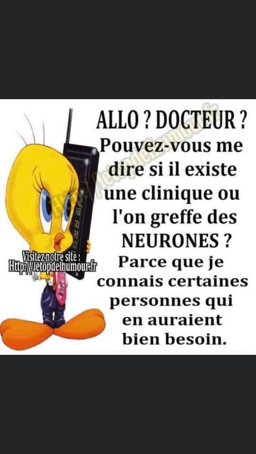 Blague   allo docteur pouvez vous me dire si il existe une clinique ou l'on greffe des neurones parceque je connais certaines personnes qui en aurait besoin