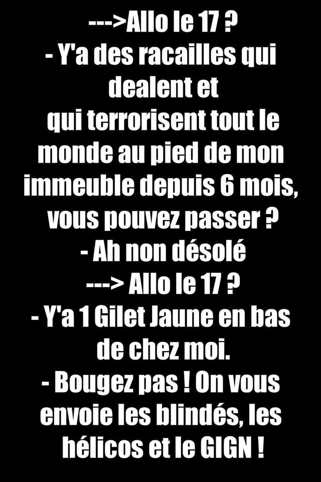 Blague   allo le 17 y'a des racailles qui dealent et qui terrorisent tout lemonde en bas d el'immeuble depuis 6 mois