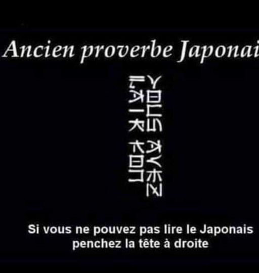 Blague   ancien proverbe japonais   si vous n'arrivez pas à lire