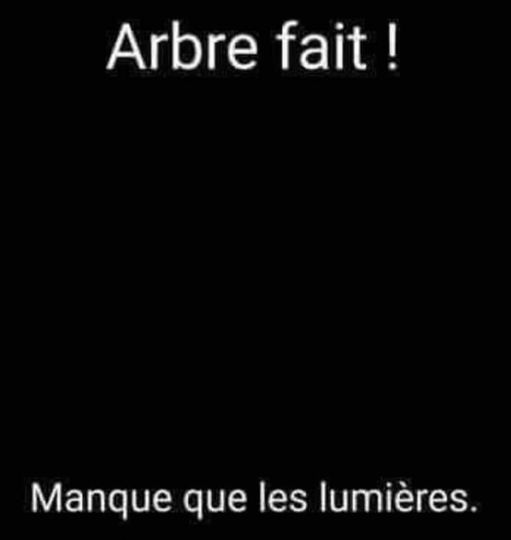 Blague   arbre fait manque plus que les lumières