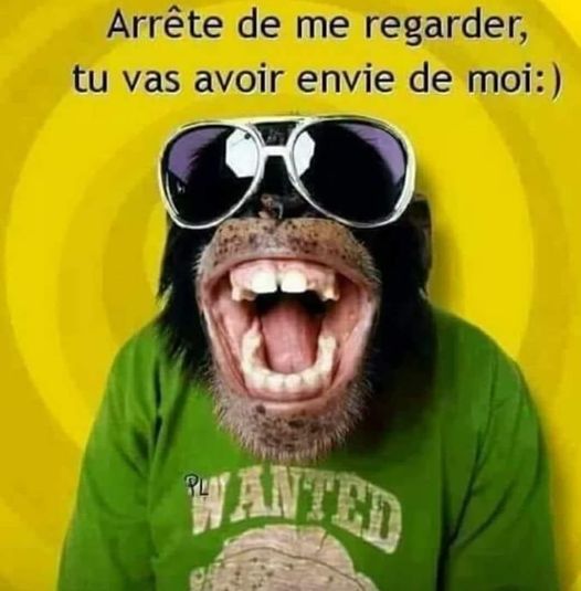 Blague   arrête de me ragarder tu vas avoir envie de moi