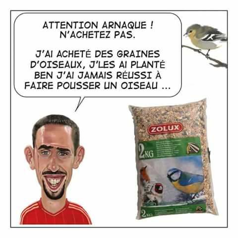 Blague   attention arnaque n'achetez pas   j'ai acheté des graines d'oiseaux je les ai planté ben j'ai jamais réussi à faire pousser un oiseau