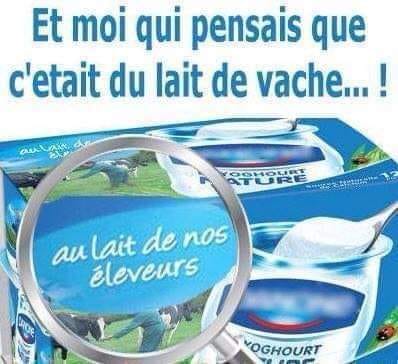 Blague   aux lait de nos eleveur