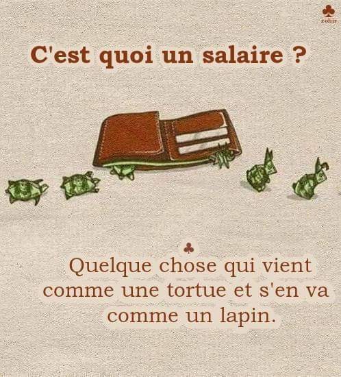 Citation   blague   question   c'est quoi le salaire c'et quelquechose qui vient comme une tortue et s'en va comme un lapin