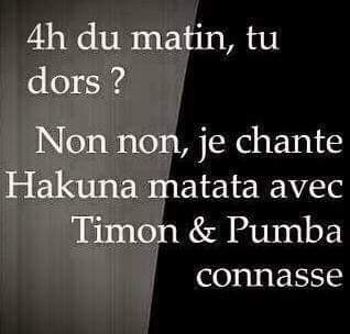 Citation   humour   à 4 h du matin tu ne dors pas   non je chante hakuna matata avec timon et pumba