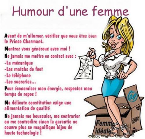 Femme   humour   femme idéal