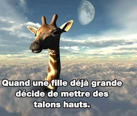 Girafe   Quand Une Fille Déja Grande Met Des Talons Aiguilles