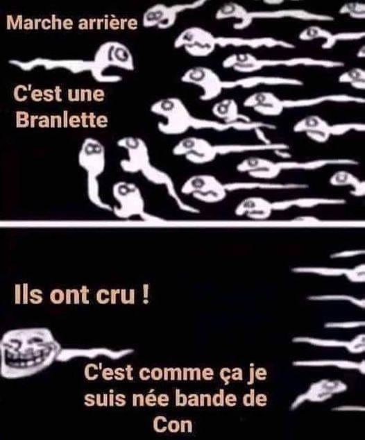 Blague   Bébé   amour   spermatozoide qui dit marche arrière c'est une branlette   c'est comme ça que je suis né