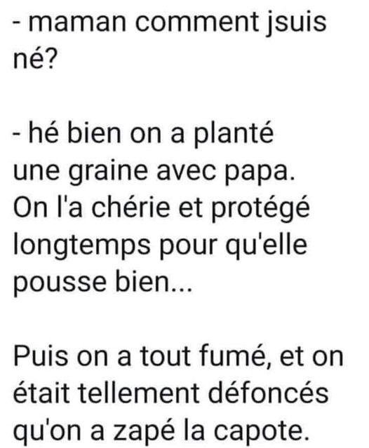 Blague   bébé graine