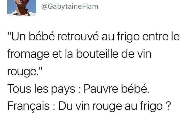 Blague   bébé retrouvé dans un frigo entre le fromage et le vin rouge les pays   pauvre bébé   le français   du vin rouge dans un frigo