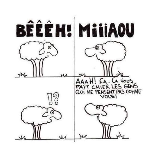 Blague   Caricature   mouton qui fait beeeh et l'autre mouton qui fait miaou et il dit ça vous fait chier que l'on ne pense pas comme vous