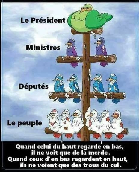 Blague   Caricature   quand celui du haut regarde en bas il ne voit que de la merde quand ceux d'en bas regarde en haut ils ne voient que des trou du cul