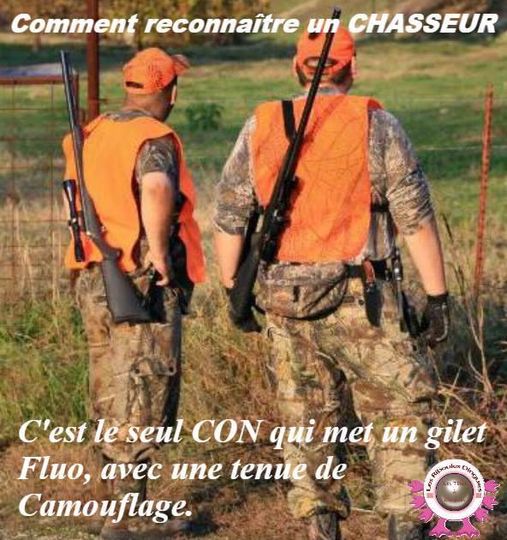 Blague   Chasseur   comment reconnaitre un chasseur   c'ets le seul con à se mettre en tenu de camouflage avec un gilet fluo