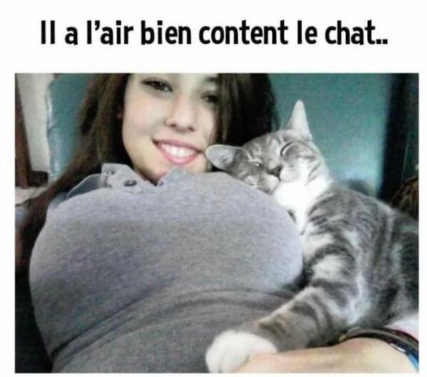 Blague   Chat   il a l'air content le chat