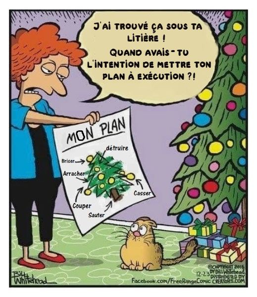 Blague   Chat   j'ai trouvé sa sous ta litière sapin de noel