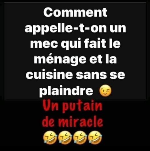 Blague   Citation    comment appelle t on un mec qui fait le ménage et le cuisine sans se plaindre   réponce   un putain de miracle