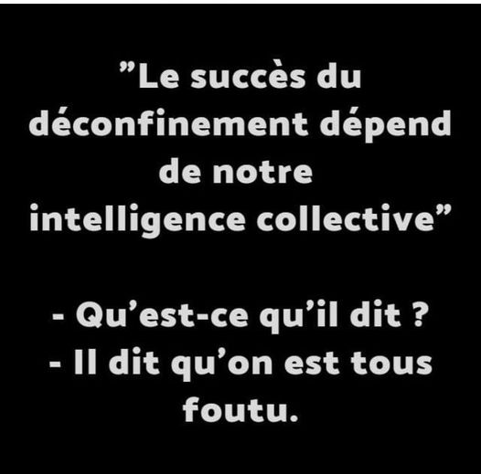 Blague   Citation    le succès du déconfinement dépend de notre intéligence collective   qu'est ce qu'il dit   l'autre répond   il dit que l'on est tous foutu