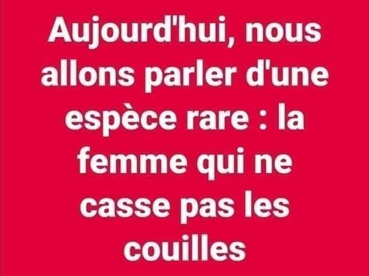 Blague   Citation   aujourd'hui,nous allons parler d'une espèce rare, la femme qui ne casse pas les couilles