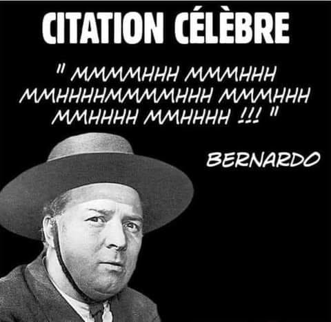 Blague   Citation   bernado mmmm mmm mmm mmm