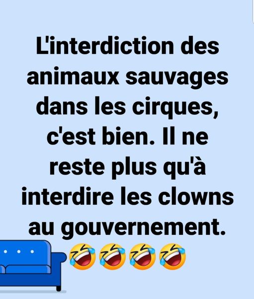 Blague   Citation   l'interdiction des animaux sauvage dans les cirques c'est bien il n ereste pls qu'à interdire les clowns au gouvernement