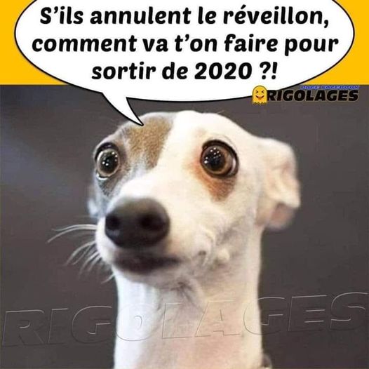 Blague   Citation   s'ils annulent le révéillon comment va t'on faire pour sortir de 2020