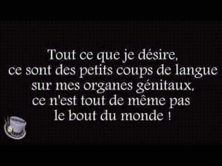 Blague   Citation   tout ce que je désire, ce sont des petits coups de langue sur mes organes génitaux ce n'est tout de même pas le bout du monde