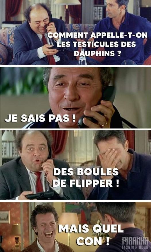 Blague   Comment on appelle des testicules de dauphins