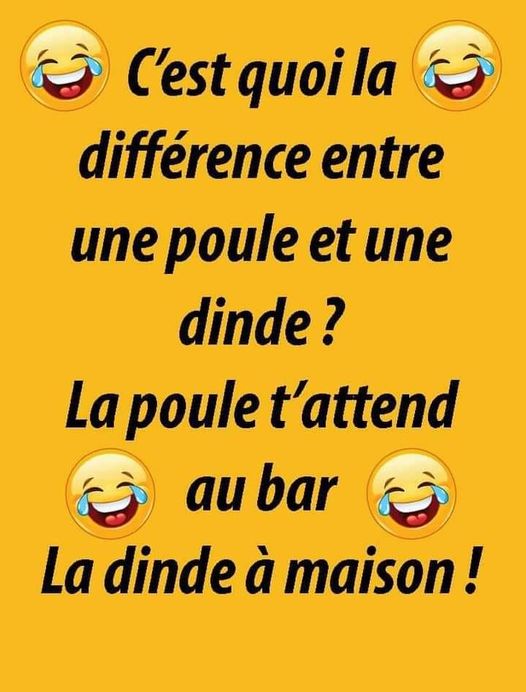 Blague   c'est quoi la différence entre un epoule et une dinde   la poule t'attend au bar la dinde à la maison