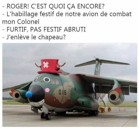 Blague   c'est quoi ça l'habillage festif de notre avion de combat colonel   j'ai dit furtif pas festif