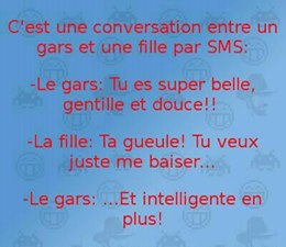 Blague   c'est un gars qui dit à une fille tu es superbelle gentille et douce la fille répond ta geule tu veux juste me baiser le gars dit inteligent en +