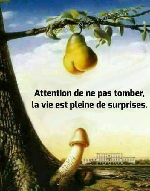 Blague   caarricature   attention de ne pas tomber la vie est pleine de surprises