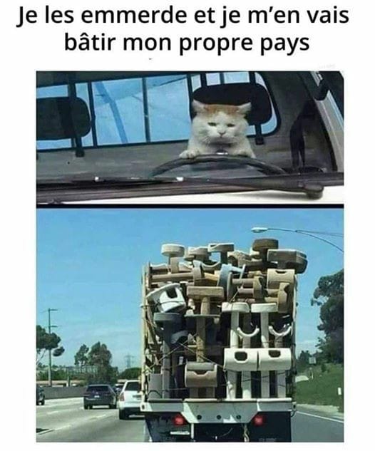 Blague   caricature   chat qui conduit un camion rempli d'arbre  chat   je les enmerde et e m'en vais batir mon propre pays