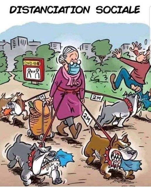 Blague   caricature   grand mère avec chien méchant autour d'elle marqué distanciation social