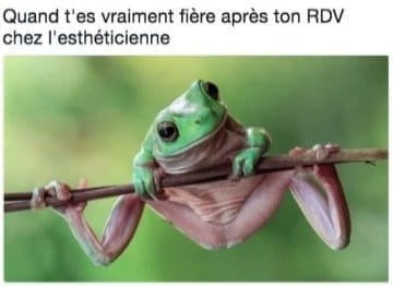 Blague   caricature   grenouille   quand t'es vraiment fière après ton RDV chez l'esthéticienne