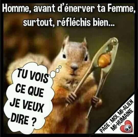 Blague   caricature   homme avant d'énerver ta femme surtout réfléchis bien   tu vois ce que je veux dire