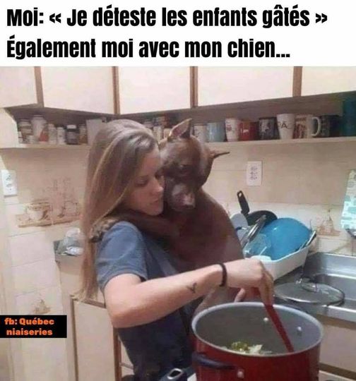 Blague   caricature   je déteste les enfants gatés également moi avec mon chien