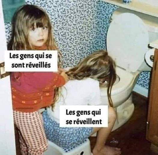 Blague   caricature   les gens qui se sont révéillés et les gens qui se révéillent = vomit dans les wc
