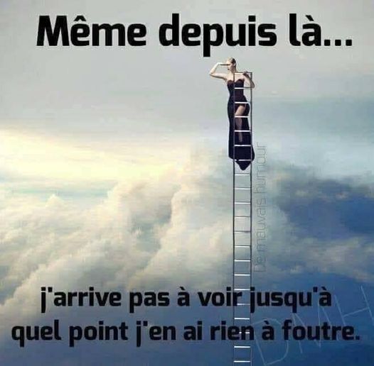 Blague   caricature   même depuis là j'arrive pas à voir jusqu'à quel point j'en ai rien à foutre