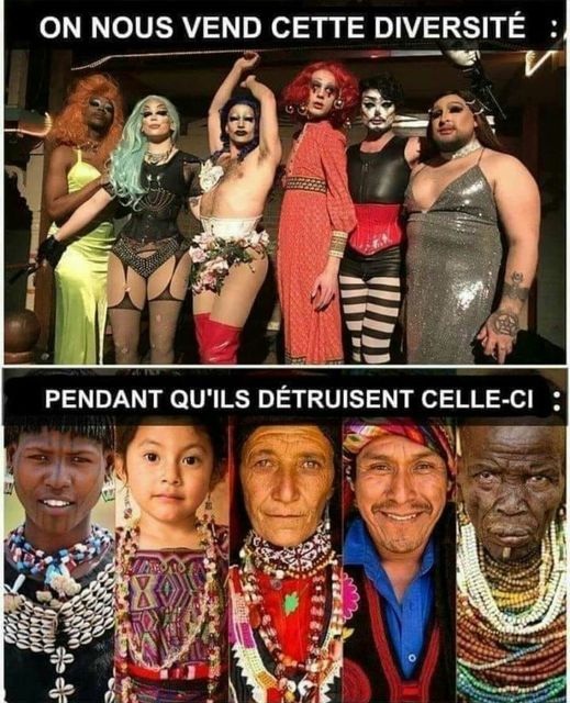 Blague   caricature   on nous vend cette diversité pendant qu'ils détruisent celle ci