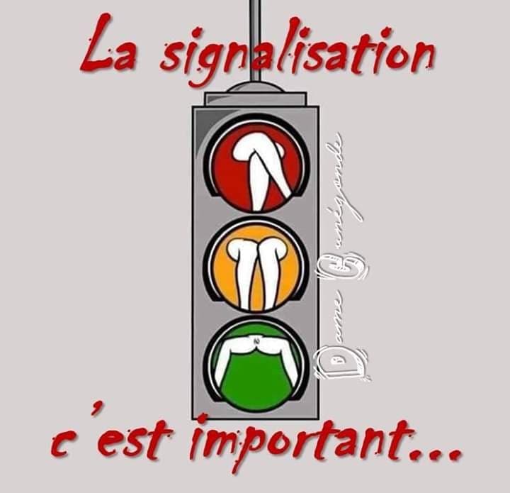 Blague   caricature   sexe   la signalisation c'est imortant rouge jambe fermé jambe arallèle jaune jambes ouverte vert