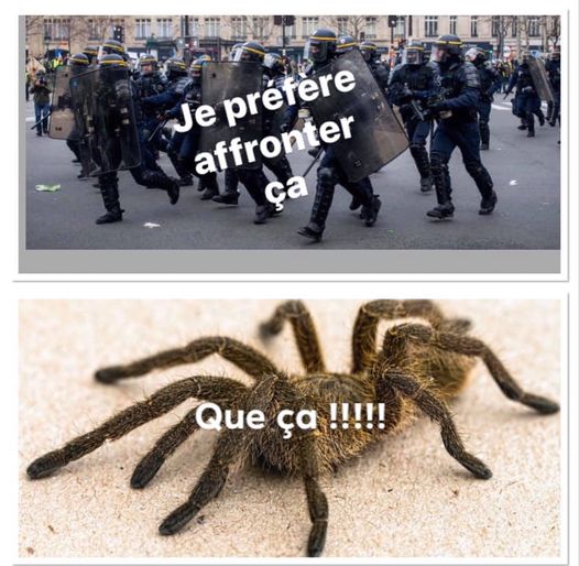 Blague   carricature   police   je préfère affronter la police que une araignée